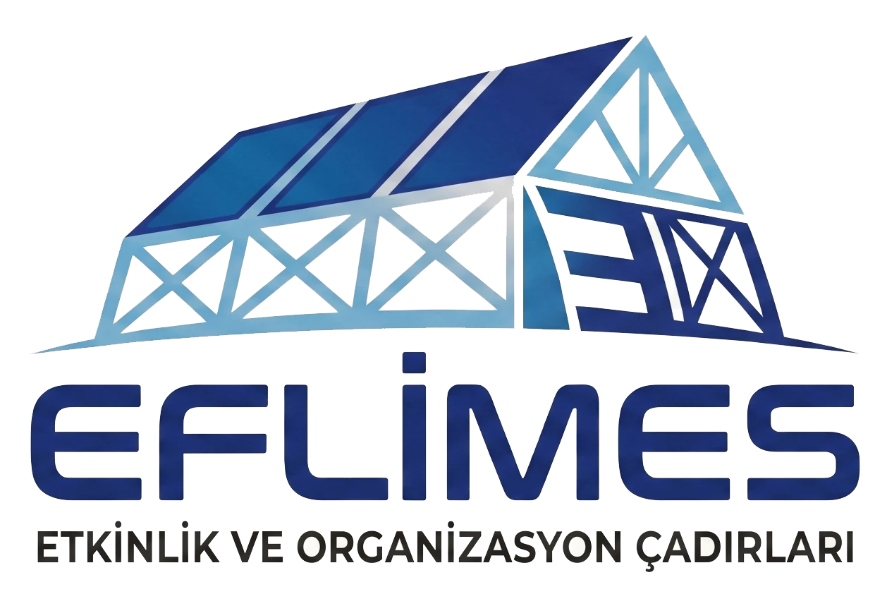 Advantages of Working with the Sector Leader: Why Eflimes?