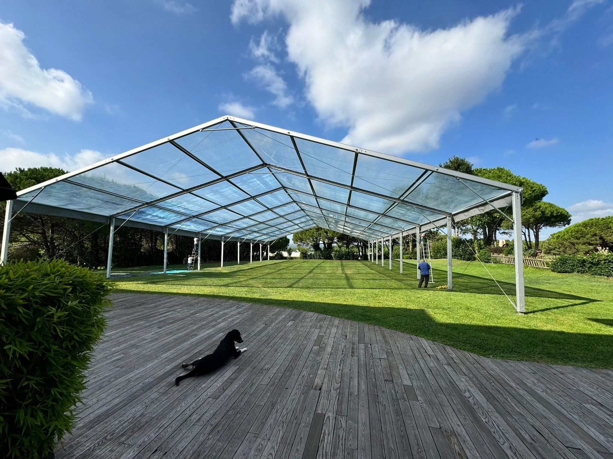 Wedding Tents
